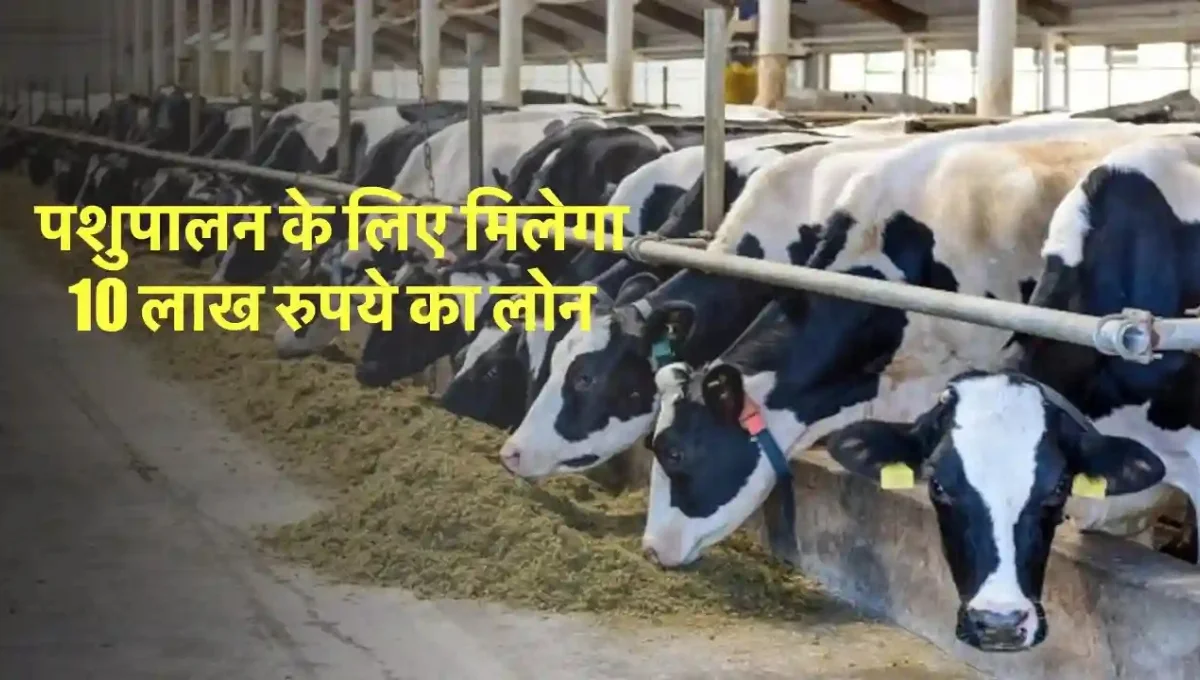 Pashupalan Loan Yojana 2025