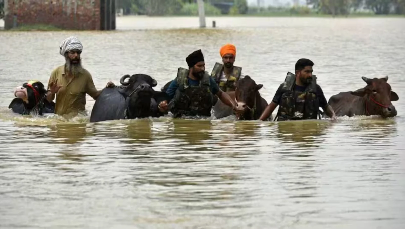 Punjab Flood Tragedy